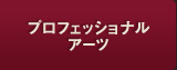 プロフェッショナルアーツ