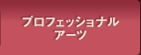 プロフェッショナルアーツ
