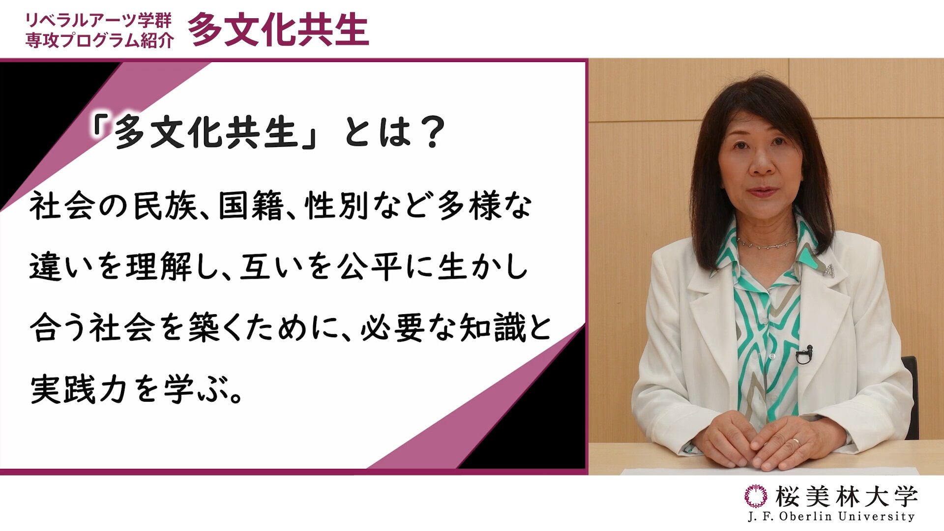 多文化共生计划概要说明的视频