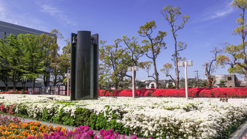 兵庫県芦屋市