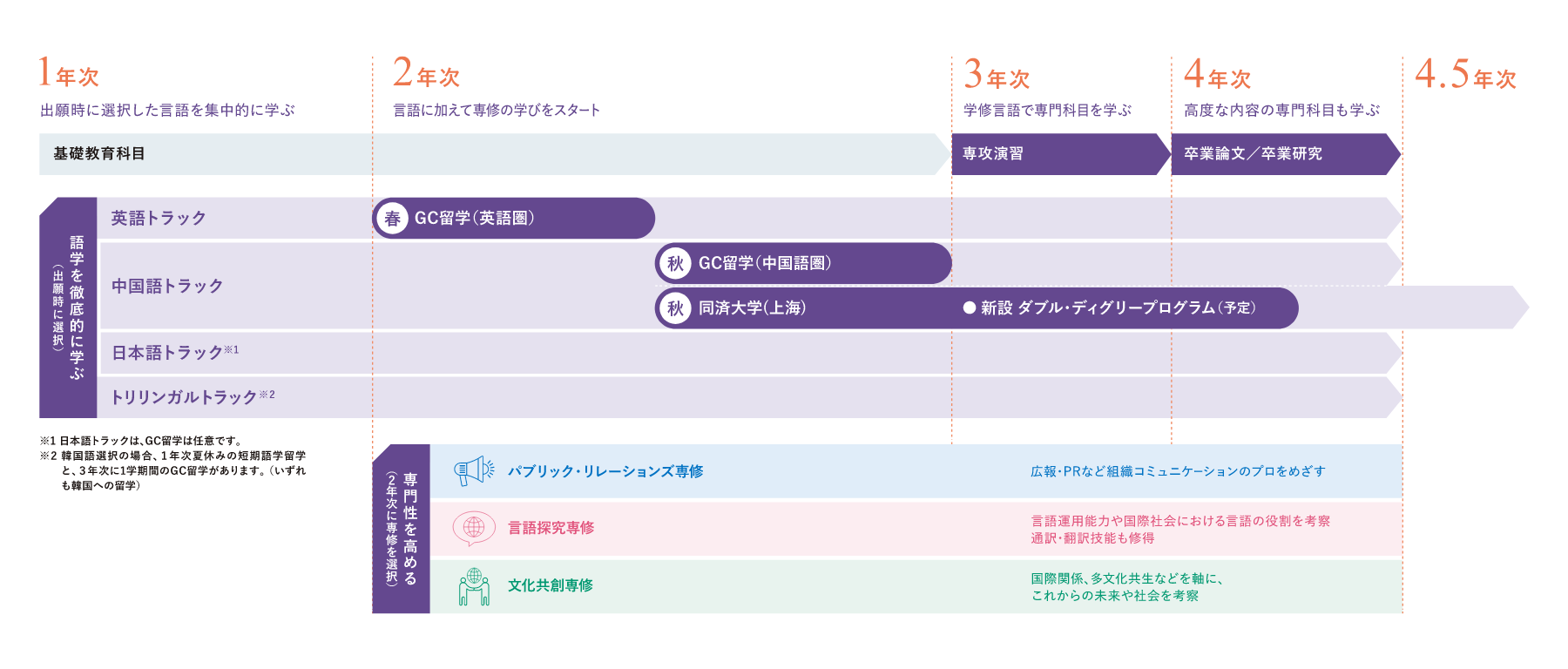 語学力と専門性を身に付ける4年間のイメージ図