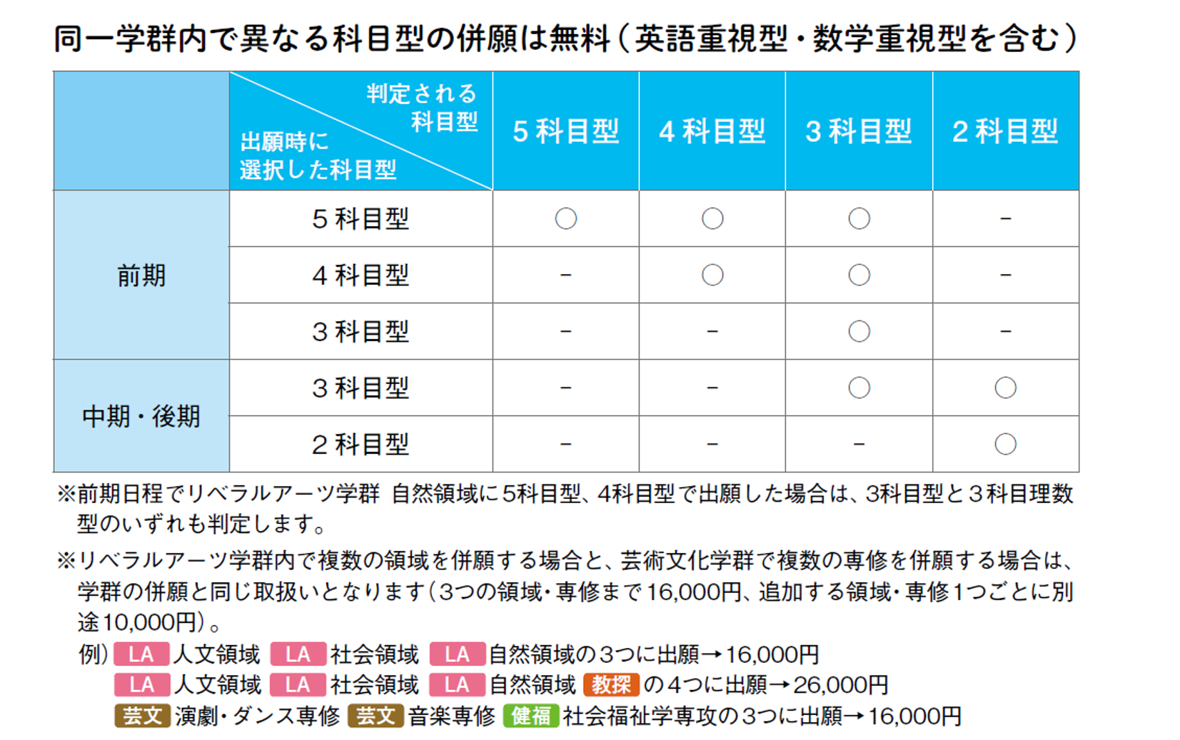 追加判定オプションの説明画像