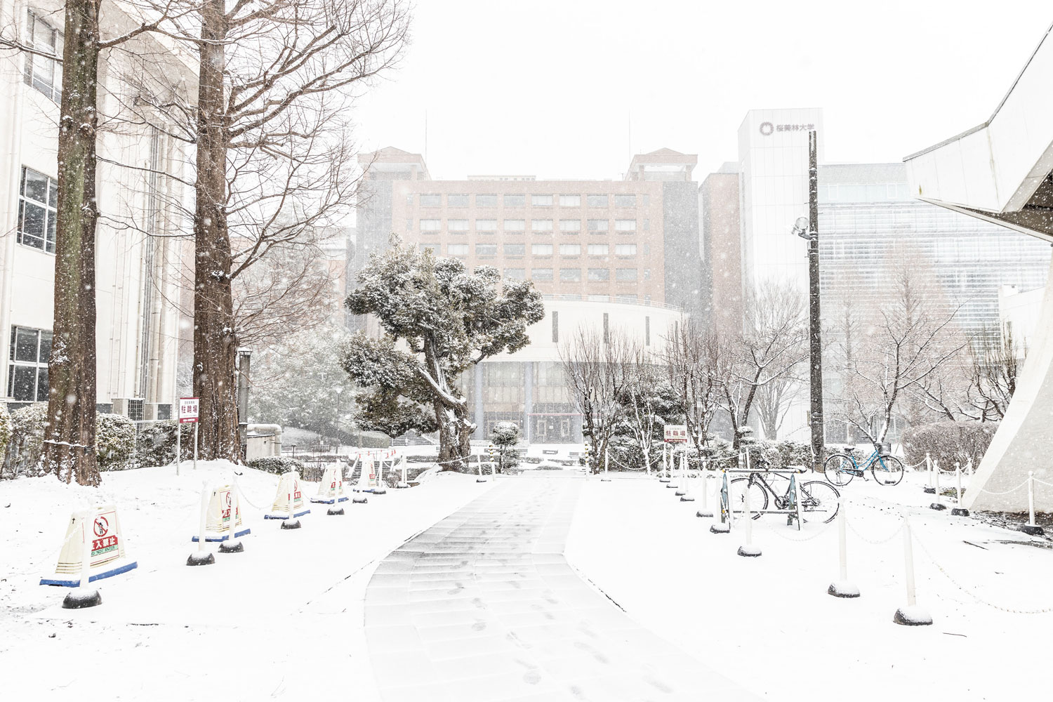 雪のキャンパスの様子