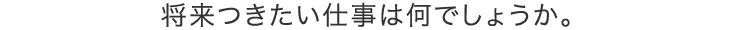 将来つきたい仕事は何でしょうか。