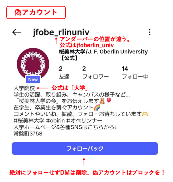 偽アカウント説明画像