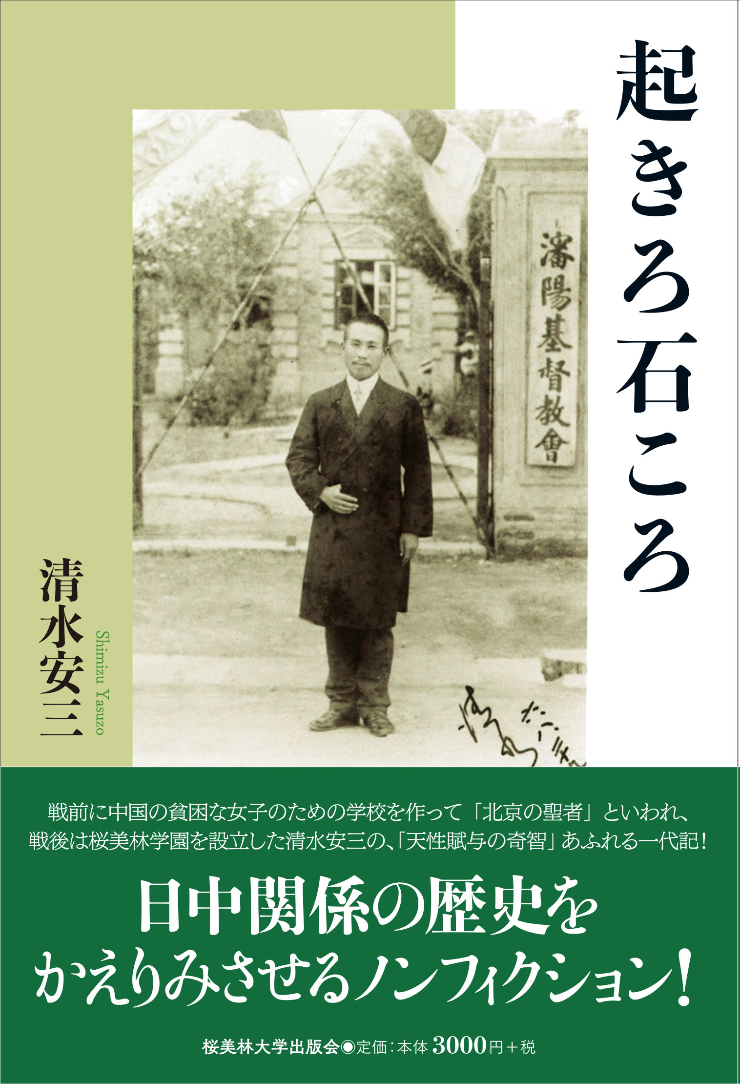 起きろ石ころの書影