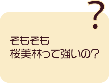 そもそも桜美林って強いの？