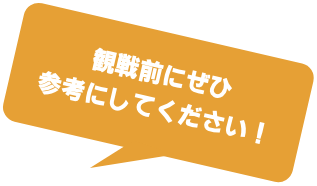 観戦前にぜひ参考にしてください！